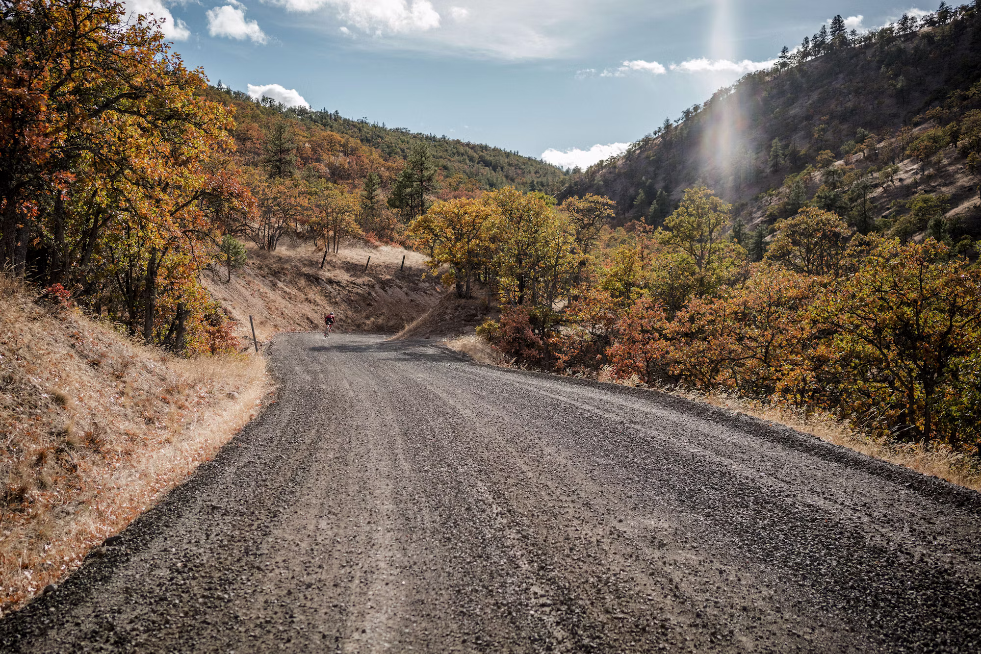 Cycling for All: Embracing Diversity on Two Wheels